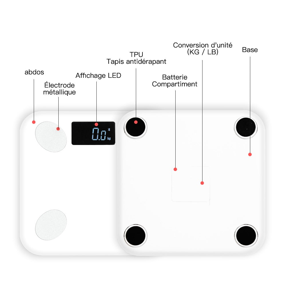 Verbundene Bluetooth-Körperfettwaage